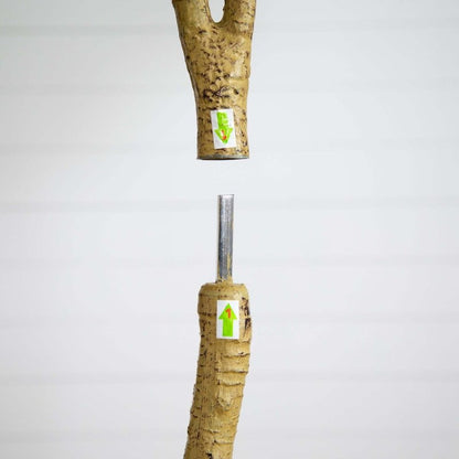 8’ Artificial Eucalyptus Tree - FCHF CITY