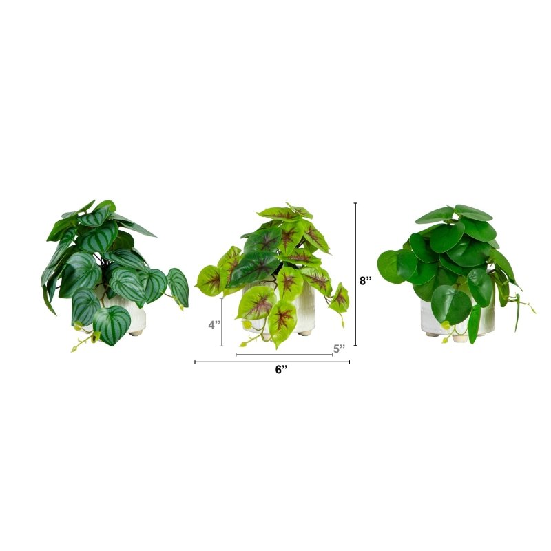 8” Artificial Mixed Greens in Ceramic Planter - Set of 3 - FCHF CITY