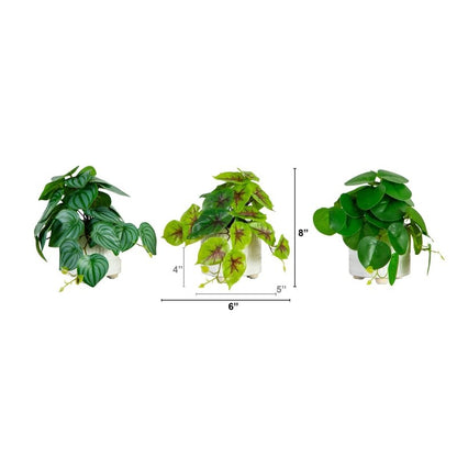 8” Artificial Mixed Greens in Ceramic Planter - Set of 3 - FCHF CITY