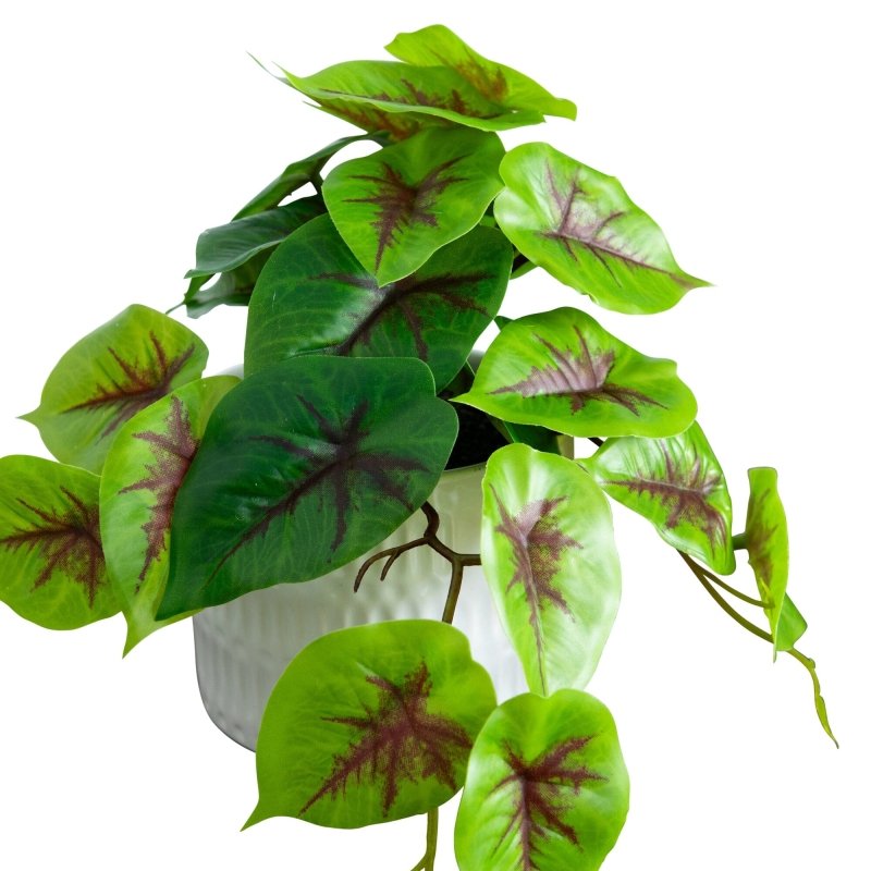 8” Artificial Mixed Greens in Ceramic Planter - Set of 3 - FCHF CITY