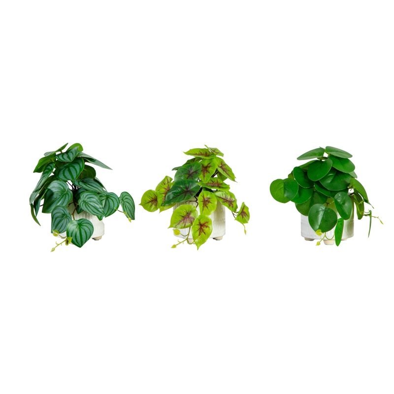 8” Artificial Mixed Greens in Ceramic Planter - Set of 3 - FCHF CITY