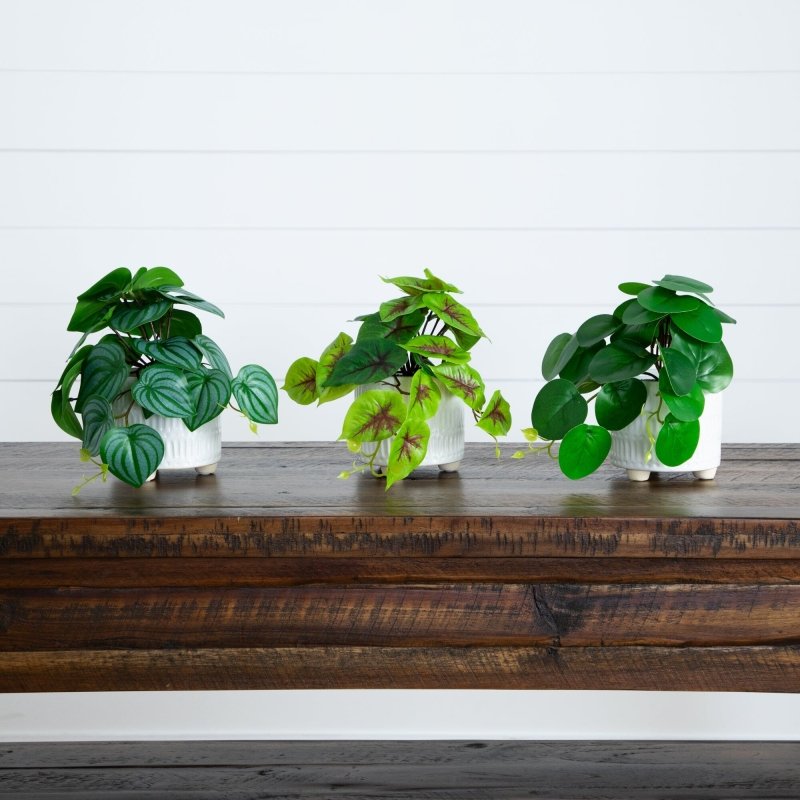 8” Artificial Mixed Greens in Ceramic Planter - Set of 3 - FCHF CITY
