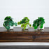 8” Artificial Mixed Greens in Ceramic Planter - Set of 3 - FCHF CITY