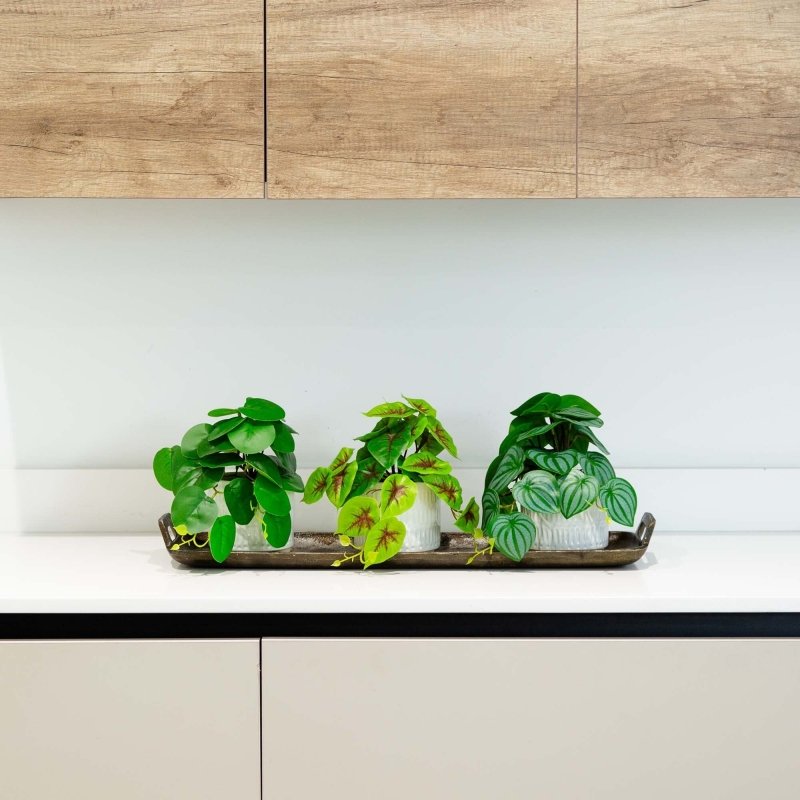8” Artificial Mixed Greens in Ceramic Planter - Set of 3 - FCHF CITY