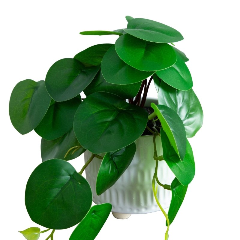 8” Artificial Mixed Greens in Ceramic Planter - Set of 3 - FCHF CITY