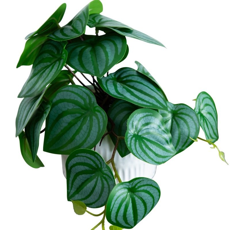 8” Artificial Mixed Greens in Ceramic Planter - Set of 3 - FCHF CITY