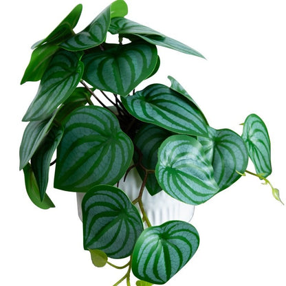 8” Artificial Mixed Greens in Ceramic Planter - Set of 3 - FCHF CITY