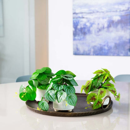 8” Artificial Mixed Greens in Ceramic Planter - Set of 3 - FCHF CITY