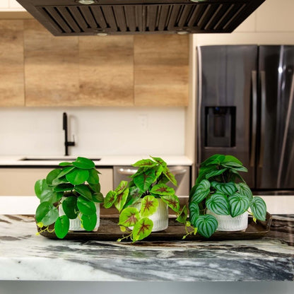 8” Artificial Mixed Greens in Ceramic Planter - Set of 3 - FCHF CITY