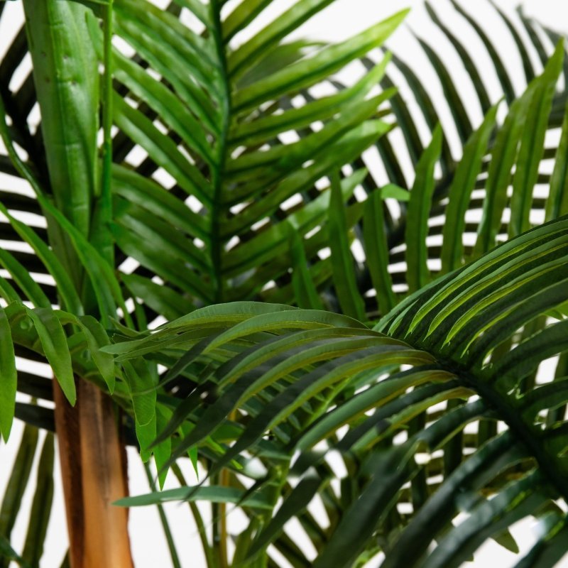 8’ UV Resistant Artificial Double Robellini Palm Tree (Indoor/Outdoor) - FCHF CITY