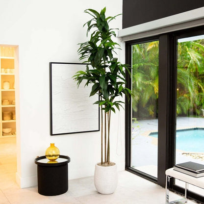 9’ Artificial Dracaena Tree with Real Touch Leaves - FCHF CITY