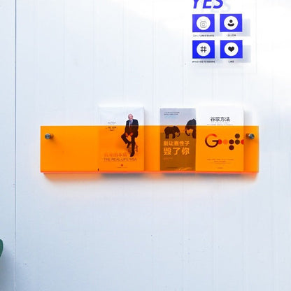 Acrylic Wall - Mounted Magazine Shelf - FCHF CITY
