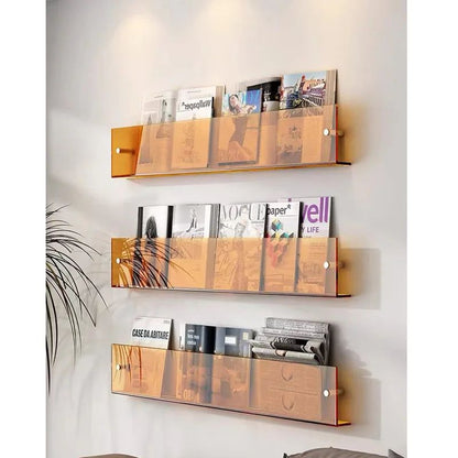 Acrylic Wall - Mounted Magazine Shelf - FCHF CITY