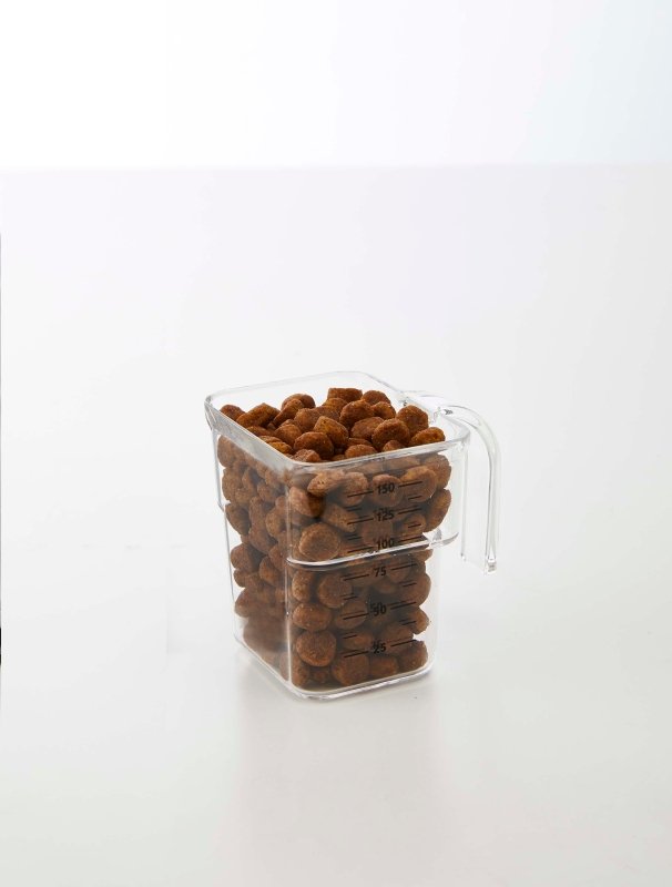 Airtight Pet Food Container - Three Sizes - FCHF CITY