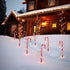 Candy Cane Solar Lights - FCHF CITY