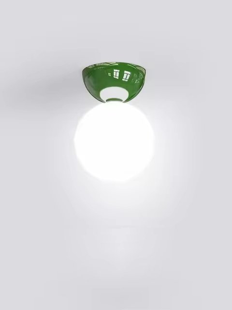 Evandale Ceiling Light - FCHF CITY