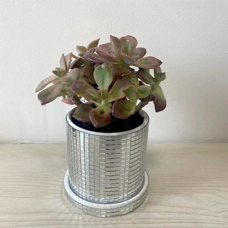 Glass Flower Pot - FCHF CITY