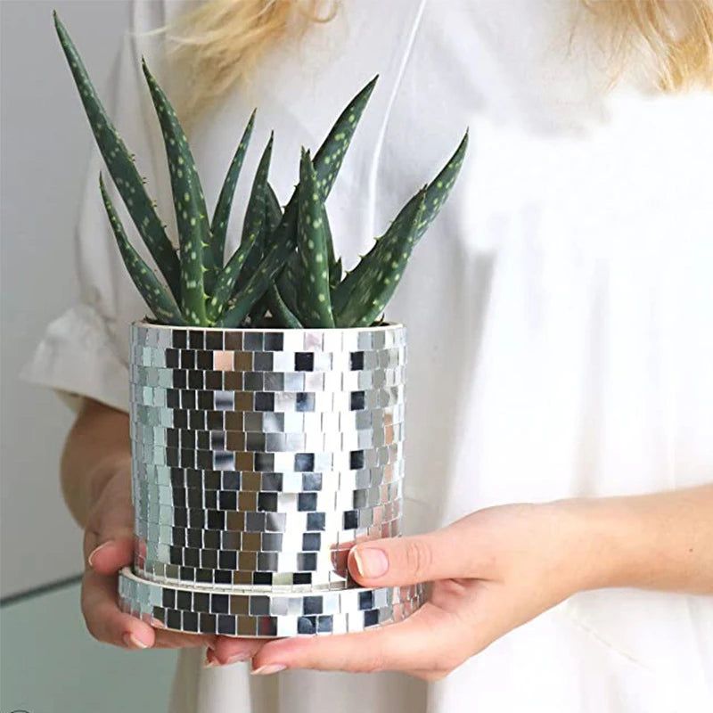Glass Flower Pot - FCHF CITY