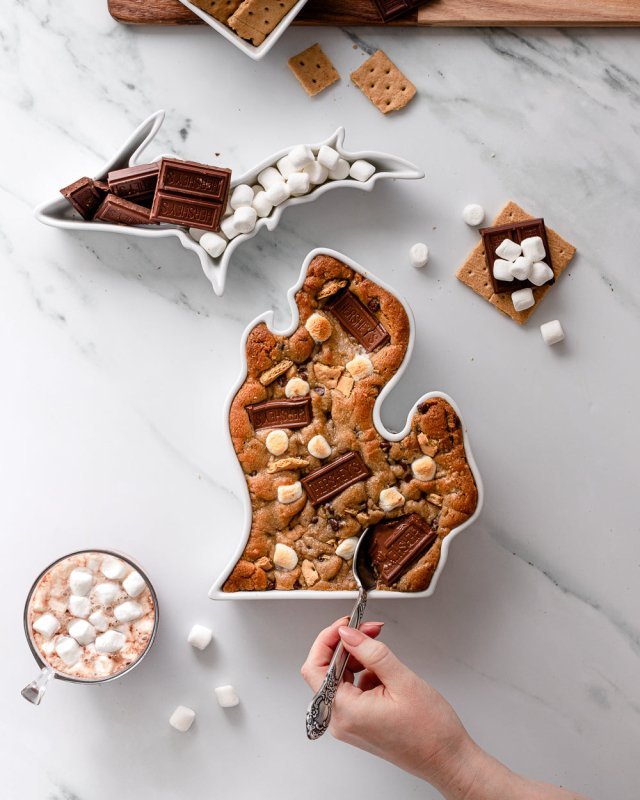 Michigan State Plate - FCHF CITY