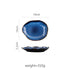 Nautilus Dinner Plate - FCHF CITY