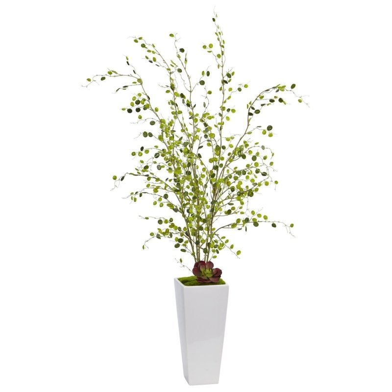 Night Willow in White Planter - FCHF CITY