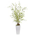 Night Willow in White Planter - FCHF CITY