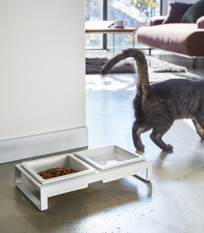 Pet Food Bowl - FCHF CITY