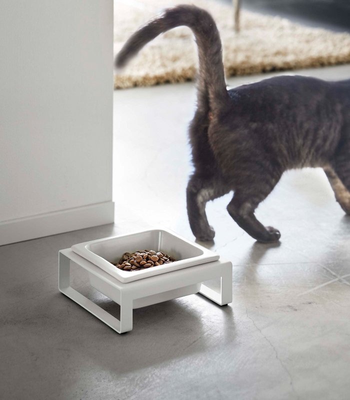 Single Pet Food Bowl - Two Styles - Steel + Ceramic - FCHF CITY