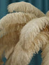 Tieri Feather Chandelier - FCHF CITY