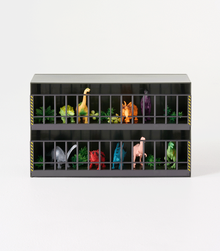 Toy Display Case - FCHF CITY