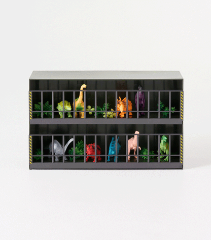 Toy Display Case - FCHF CITY