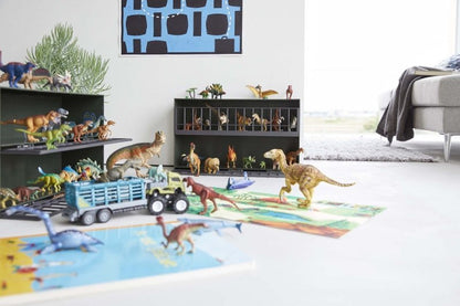 Toy Display Case - FCHF CITY