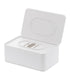 Wipes Dispenser - FCHF CITY
